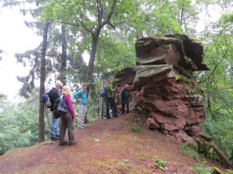 Wanderung Pfalz