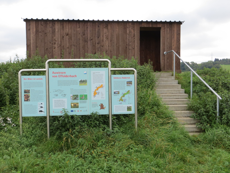 Natura Trail Glauberg Beobachtungshaus Auwiesen von Effolderbach