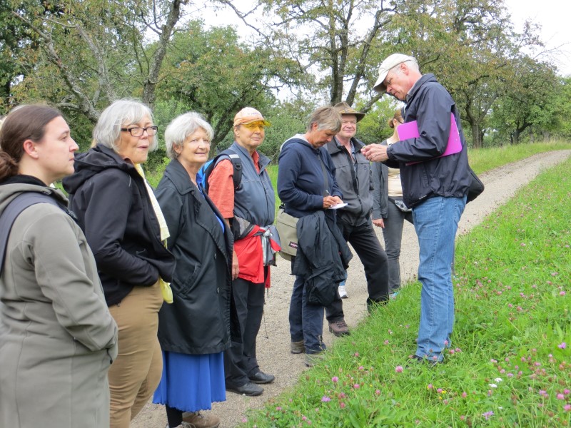 Wildpflanzen Exkursion - Erklärung von Klaus