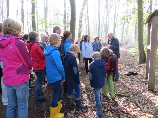 Wildpflanzen Exkursion - im Wald