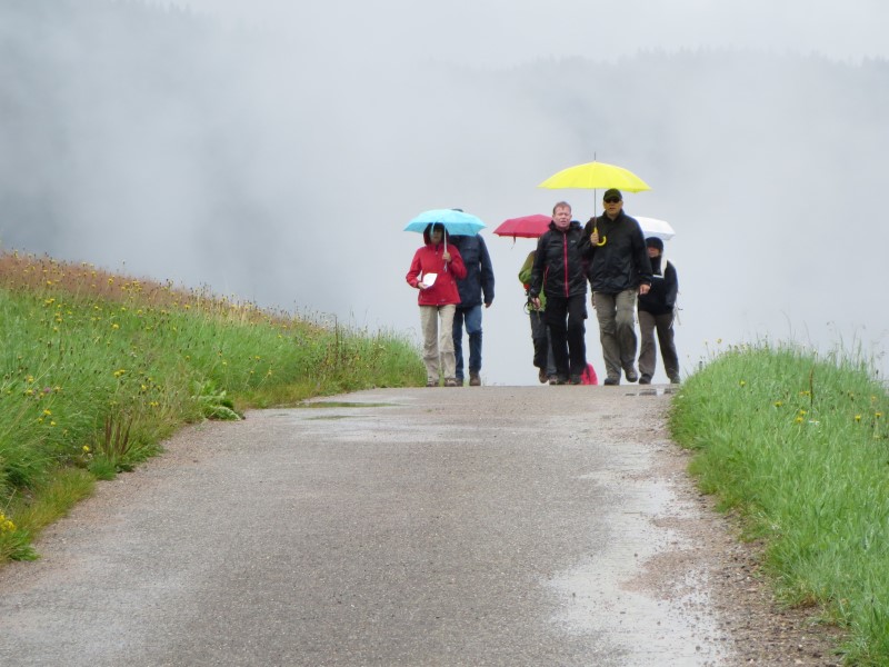 Wandern im Schwarzwald
