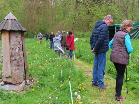 Rundgang über die Wiese
